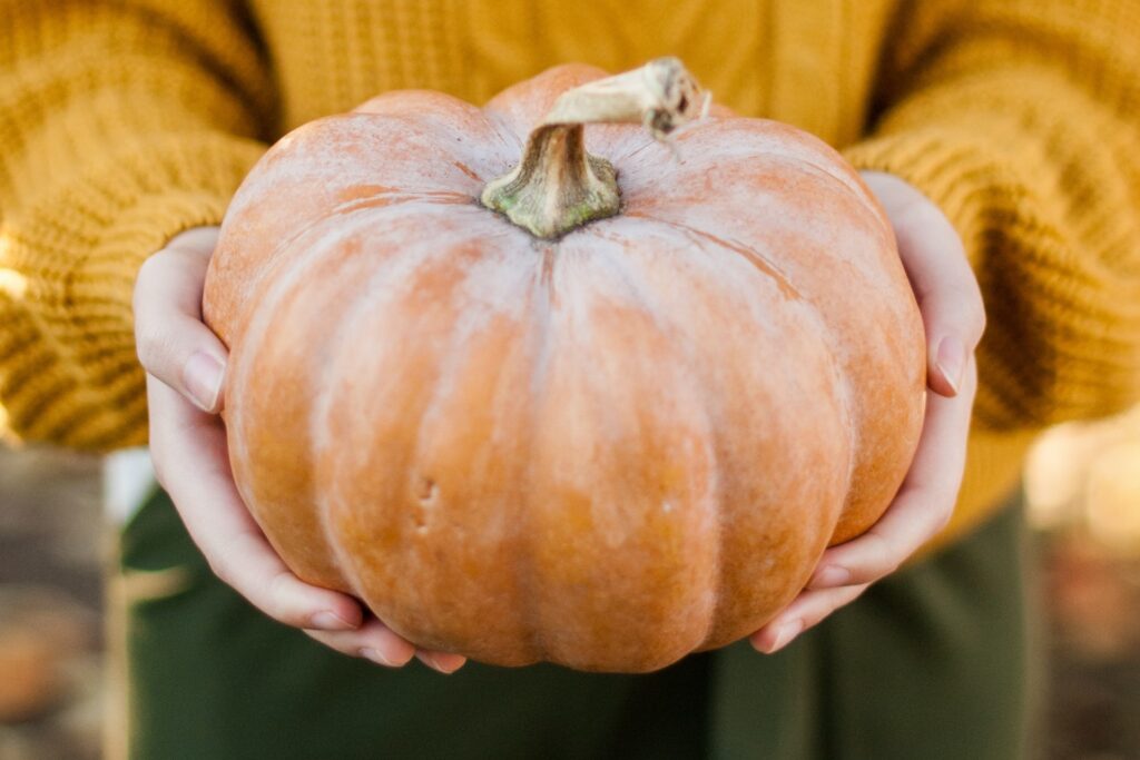 beneficios de la calabaza